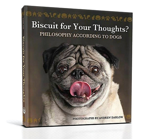 BiscuitBook3Dm2